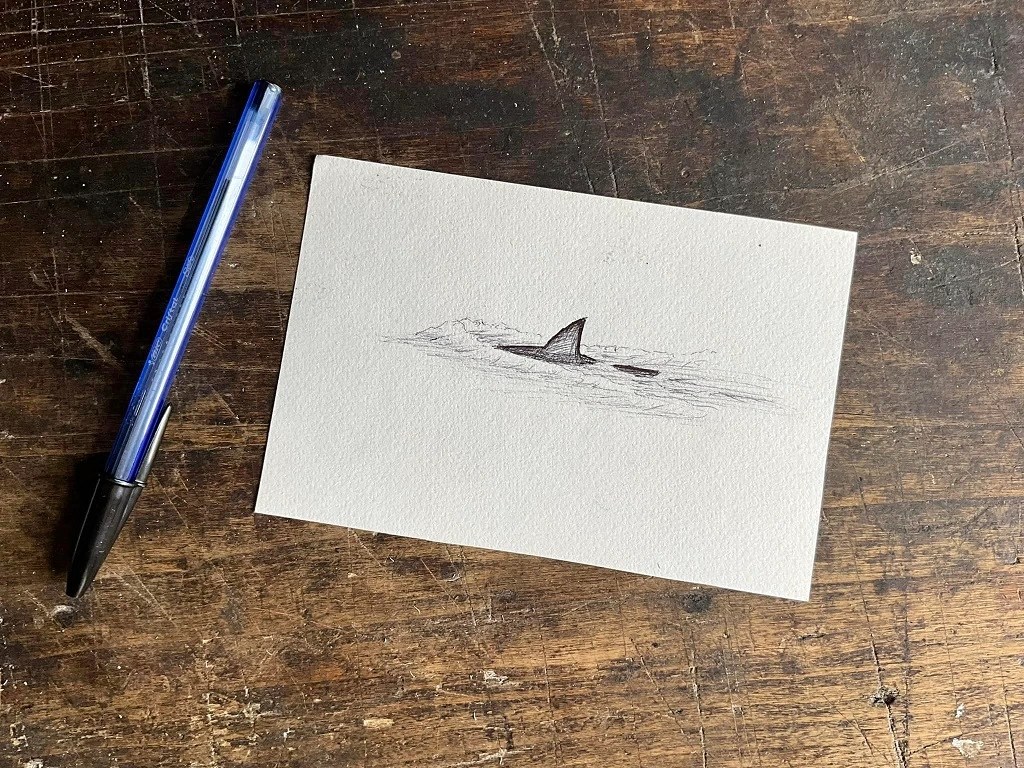 dessin projet tattoo flash aileron de requin nageant