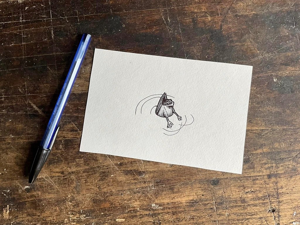 dessin projet tattoo flash cul de canard en plongée